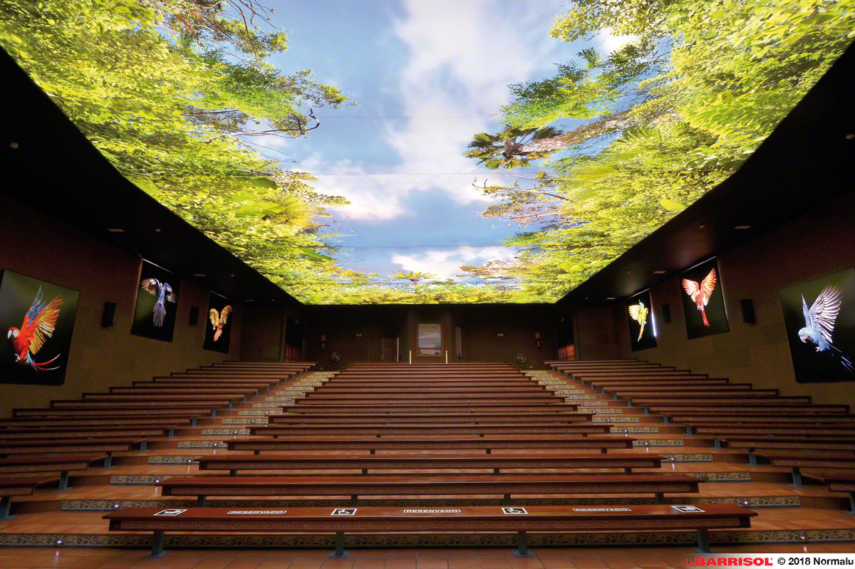 Stretch Ceilings in Nagpur – Stylish, Durable & Affordable Ceiling Solutions